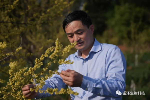 科創(chuàng)湖南之星|劉智謀：萃取中藥精華，反哺一方經(jīng)濟(jì)